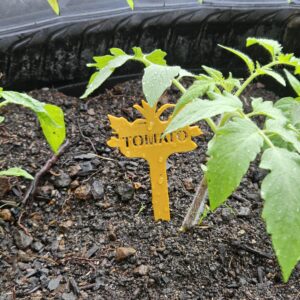 Plant Tags